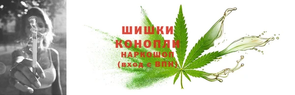 таблы Богородицк