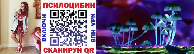 магазин продажи наркотиков  Ивангород  Псилоцибиновые грибы Psilocybe 