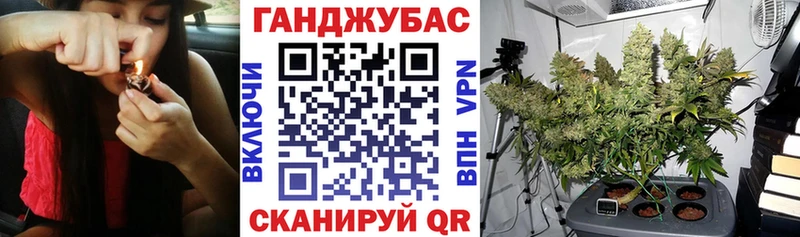 Каннабис индика Ивангород